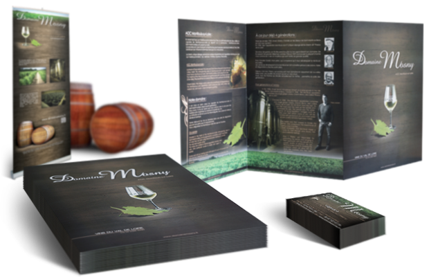 flyers, plaquettes, roll-up, cartes de visite flyers, plaquettes, roll-up, cartes de visite