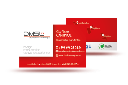 cartes de visite DMSL Caraïbes cartes de visite DMSL Caraïbes