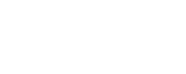 logo DMSL Caraïbes logo DMSL Caraïbes
