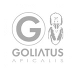 Goliatus
