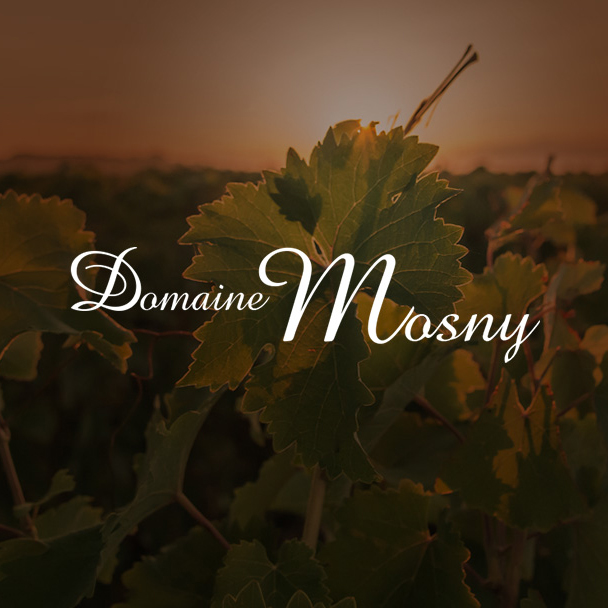 Domaine Mosny - logo identité visuelle site internet Lagencegraphique agence de communication à Tours