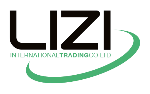 logo lizi