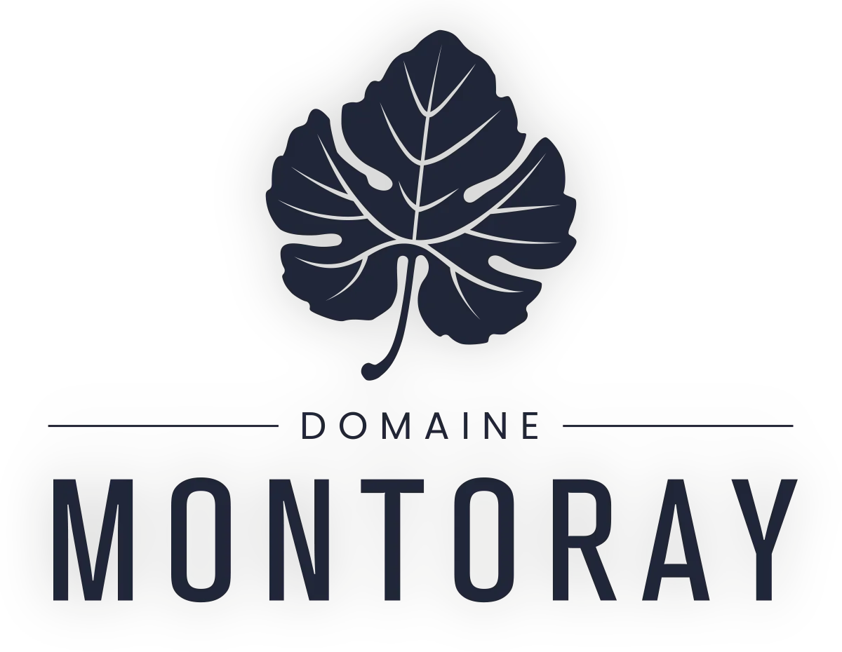 logo MONTORAY