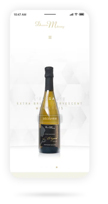 site internet domainemosny - agence de communcication à Tours